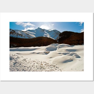 Canadian Rocky Mountains Icefields Parkway Canada Posters and Art